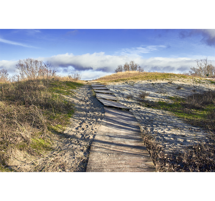 Papel pintado paisaje sendero de madera - TenVinilo
