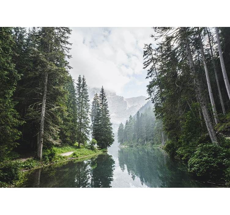 Papel pintado paisaje eco del bosque tranquilo - TenVinilo