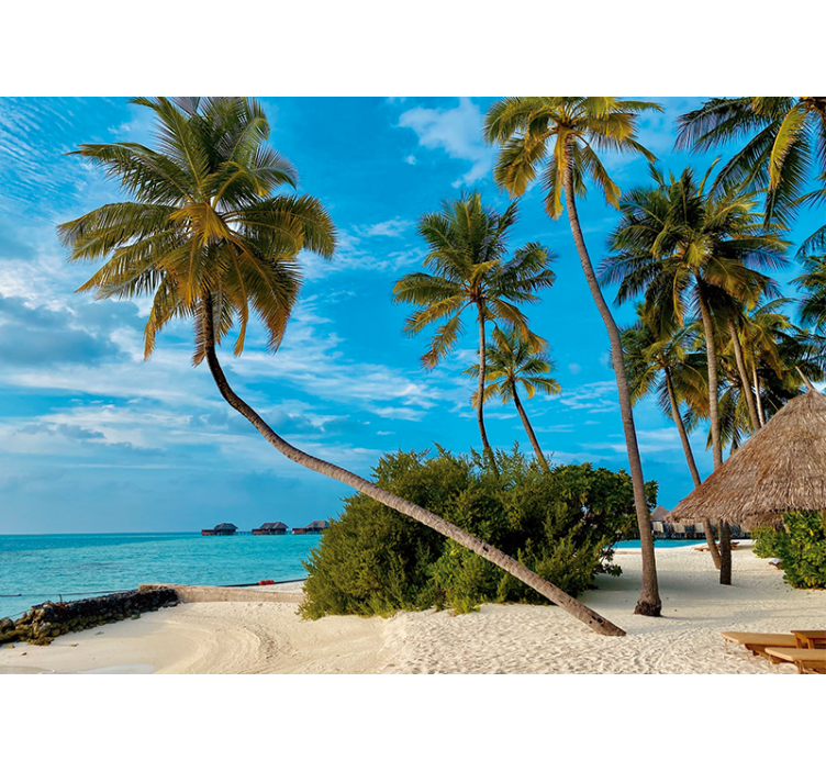 Fotomural naturaleza paisaje de palmas tropicales - TenVinilo