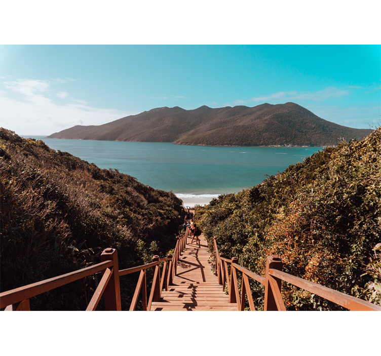 Papel pintado paisaje camino serene al océano - TenVinilo