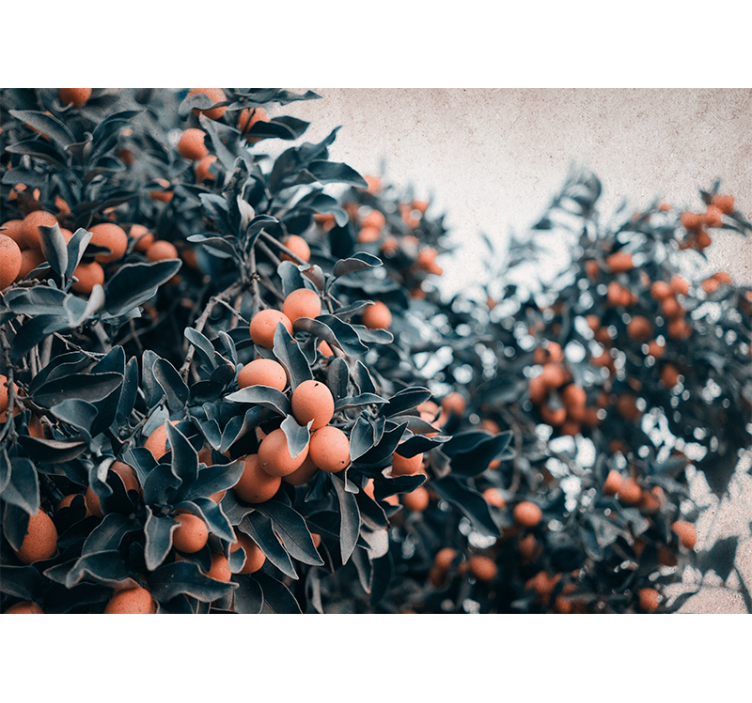 Mural de pared flores rama de frutas cítricas - TenVinilo