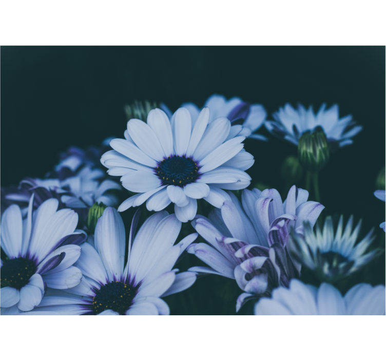 Mural de pared flores arreglo floral sereno - TenVinilo