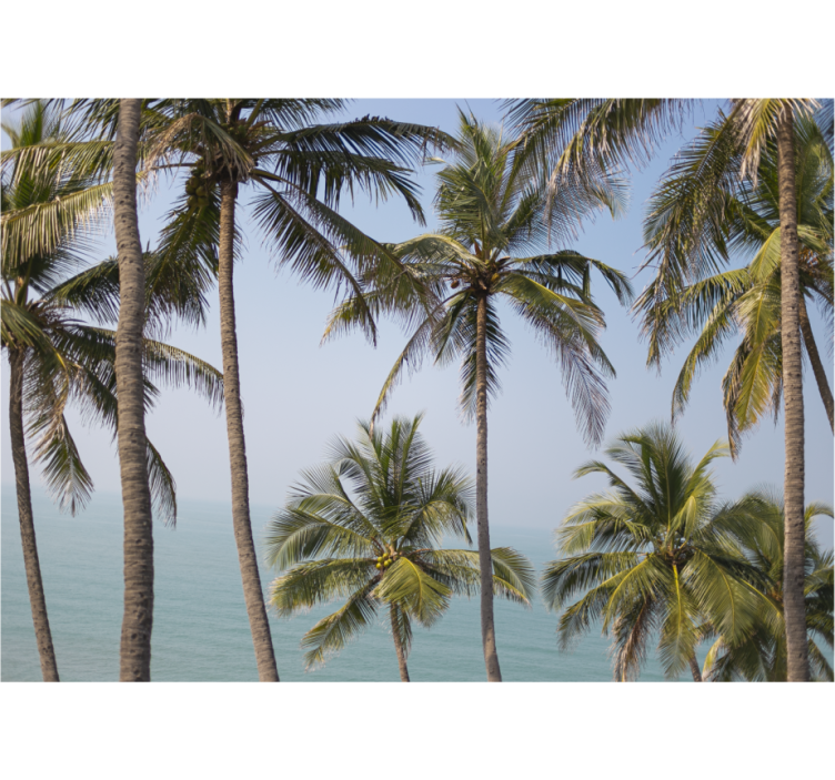 Papel pintado naturaleza paisaje de palmeras - TenVinilo