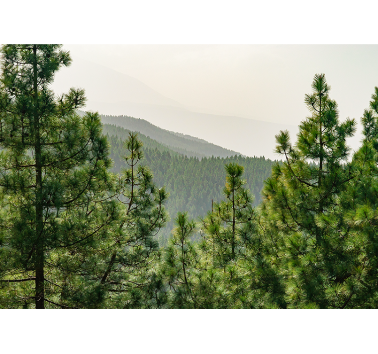 Fotomural naturaleza paisaje de vegetación exuberante - TenVinilo
