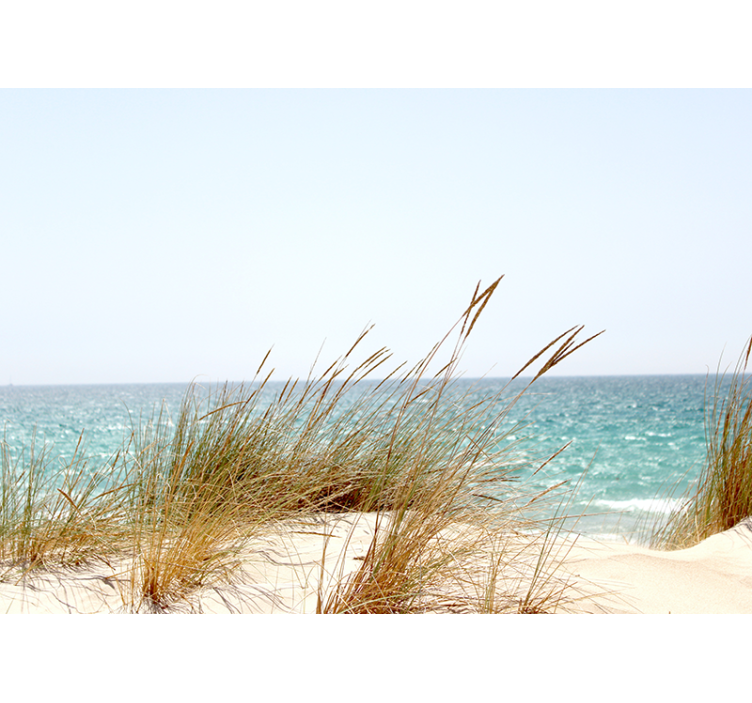 Fotomural naturaleza vista de la costa tranquila - TenVinilo