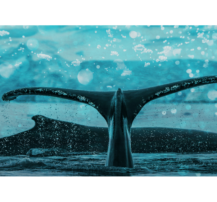 Fotomural animales aleta de ballena salpicando - TenVinilo