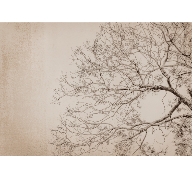 Fotomural árboles silueta de ramas hermosa - TenVinilo