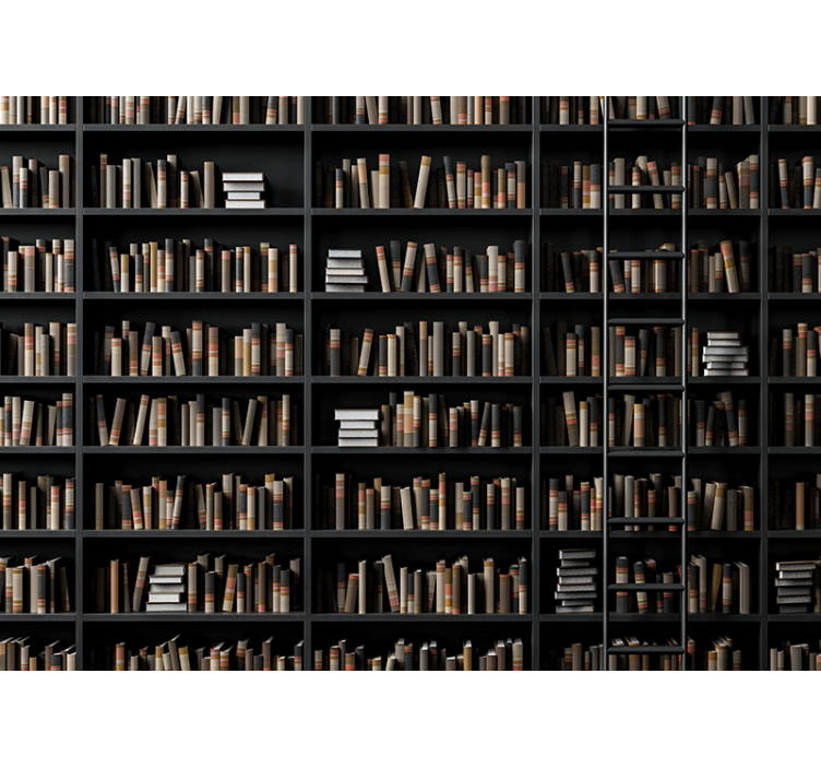 Mural de pared piedra colección de libros - TenVinilo