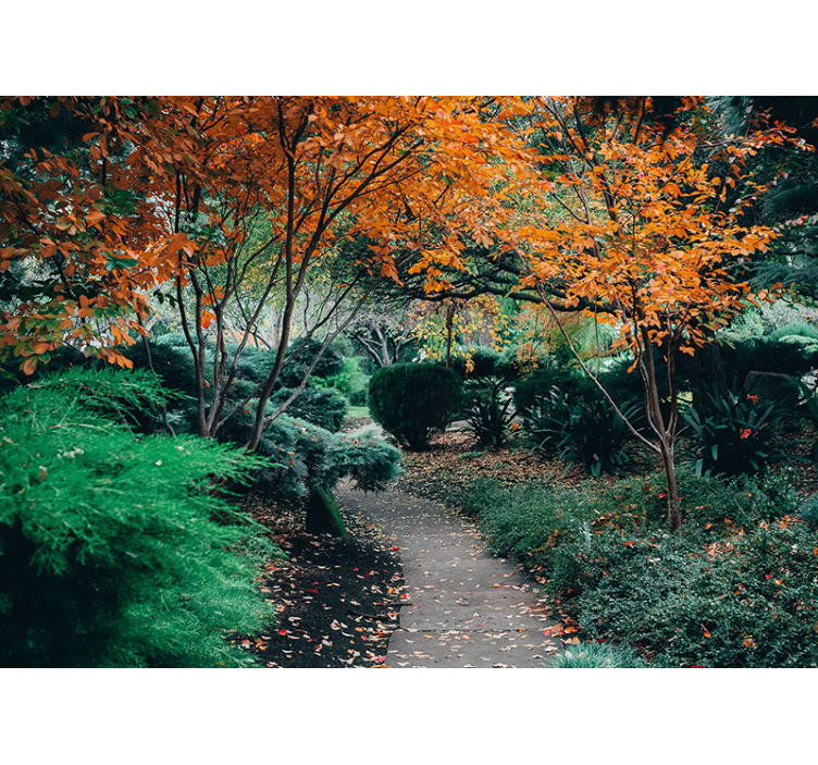 Fotomural naturaleza sendero entre árboles - TenVinilo