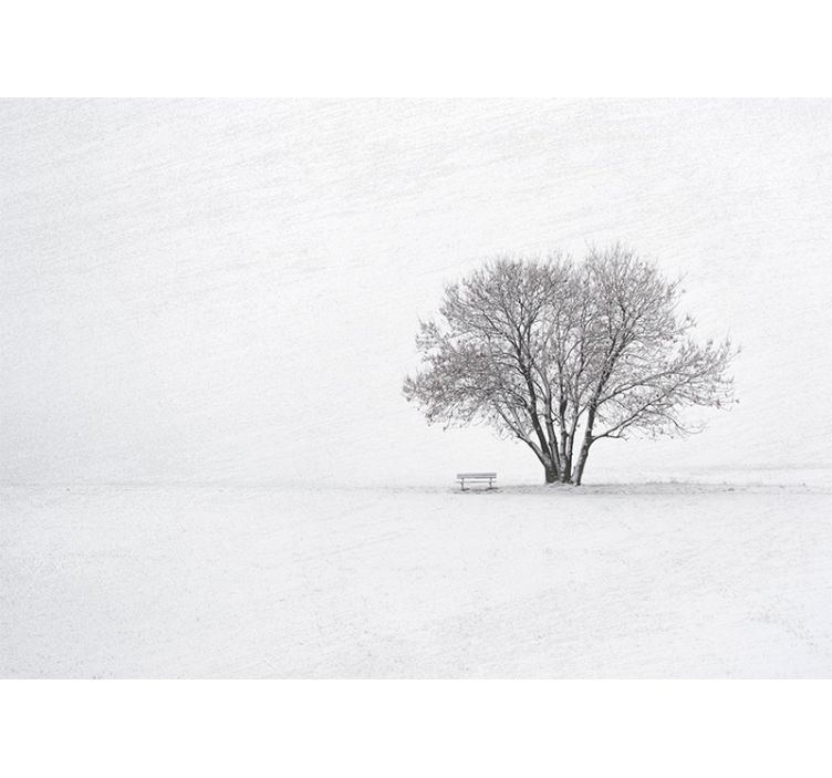 Fotomural naturaleza Árbol solitario nevado - TenVinilo