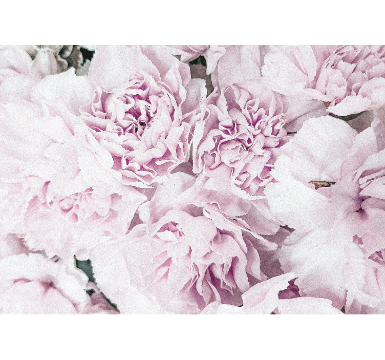 Mural de pared flores en tonos rosa suave - TenVinilo