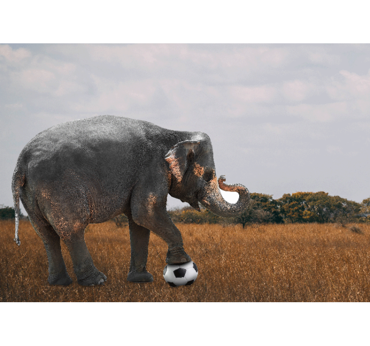 Fotomural animal elefante jugando al fútbol - TenVinilo
