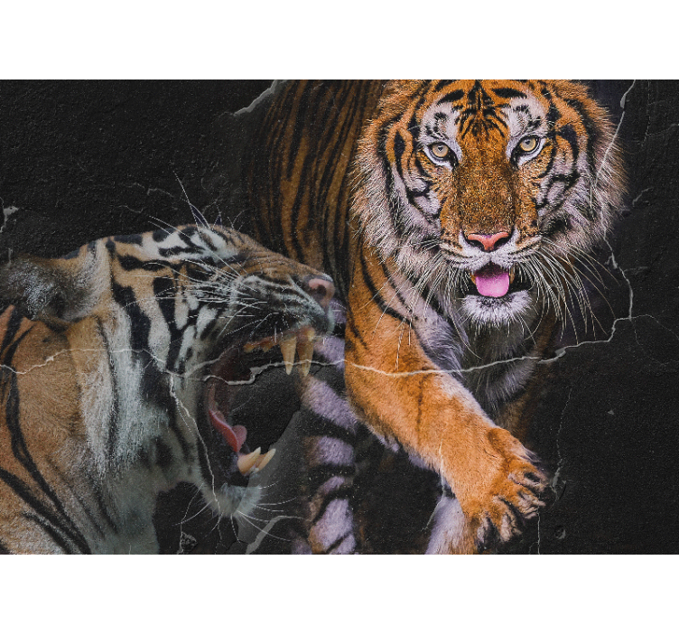Fotomural animales encuentro con el tigre majestuoso - TenVinilo
