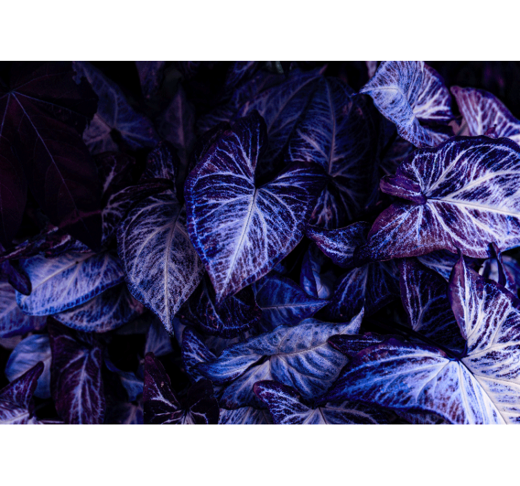 Mural pared salón patrones de hojas moradas - TenVinilo