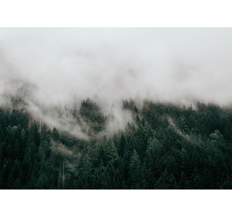 Papel pintado bosque paisaje de bosque neblinoso - TenVinilo