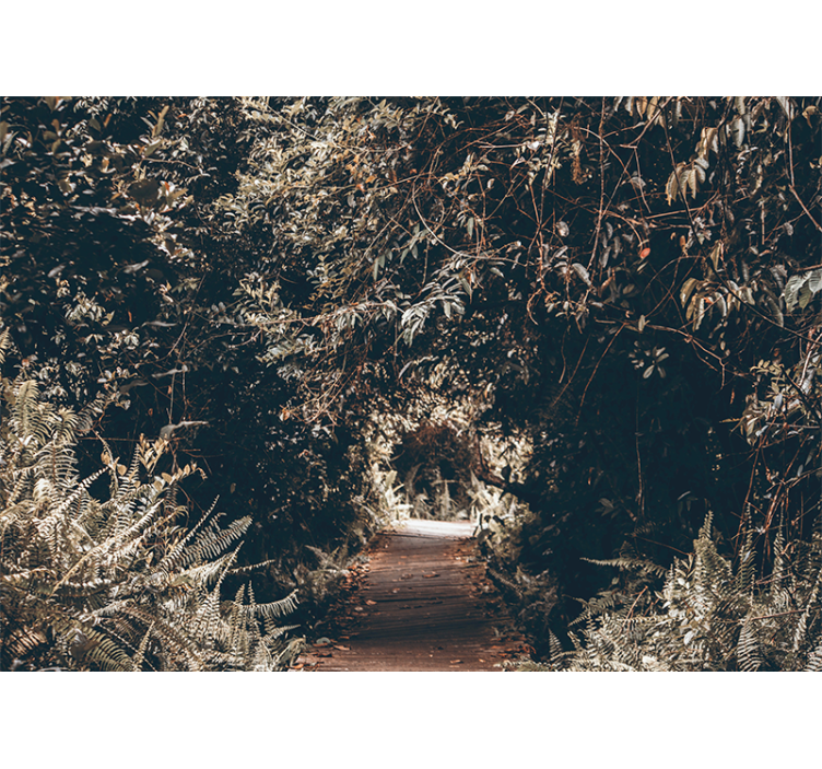 Fotomural naturaleza sendero del bosque - TenVinilo
