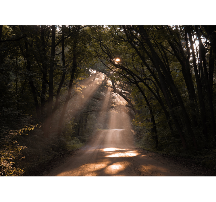 Papel pintado naturaleza sendero del bosque radiante - TenVinilo