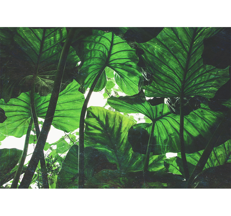Fotomural naturaleza dosel de hojas exuberantes - TenVinilo