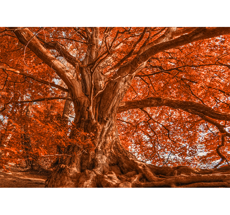 Fotomural árboles Árbol majestuoso de otoño - TenVinilo
