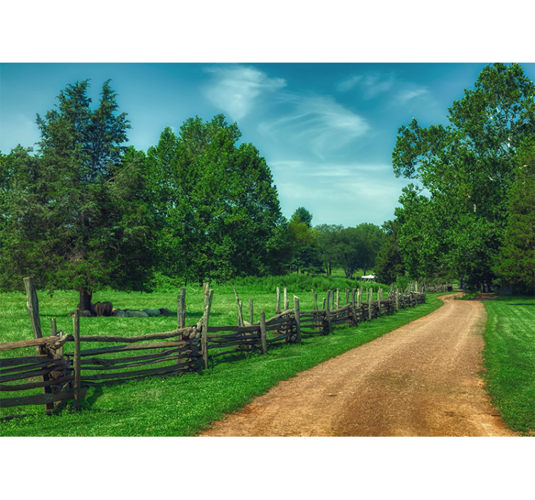Papel pintado paisaje sendero verde vibrante - TenVinilo