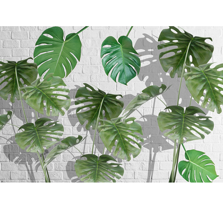Papel pintado naturaleza arreglo de hojas monstera - TenVinilo