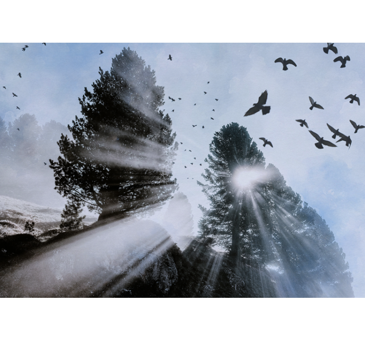 Fotomural bosque rayos de sol radiantes con pájaros - TenVinilo