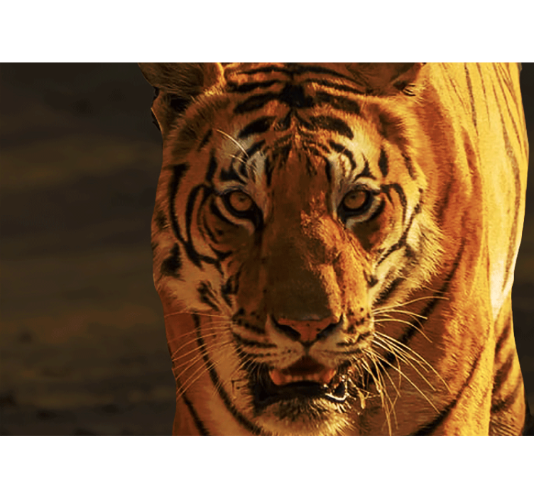 Fotomural león mirada regal de tigre - TenVinilo