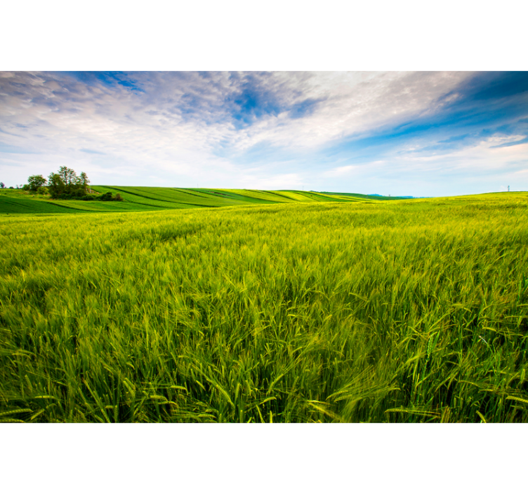 Fotomural naturaleza pradera verde - TenVinilo