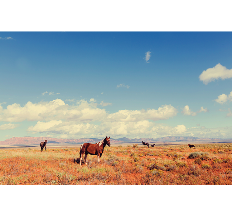 Fotomural naturaleza caballos en la pradera - TenVinilo
