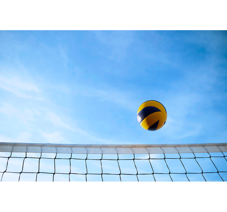 Mural para habitaciones pelota volley sobre red - TenVinilo