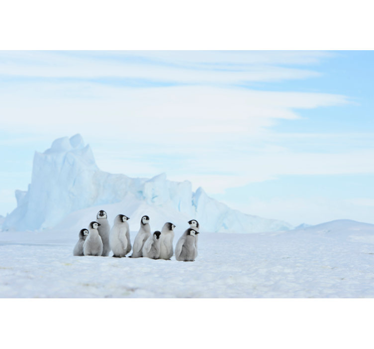 Fotomural animales pingüinos en la Antártida - TenVinilo