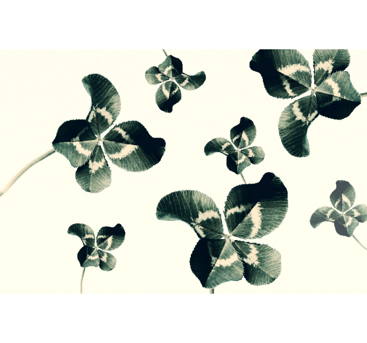 Mural pared naturaleza Trébol Moderno - TenVinilo