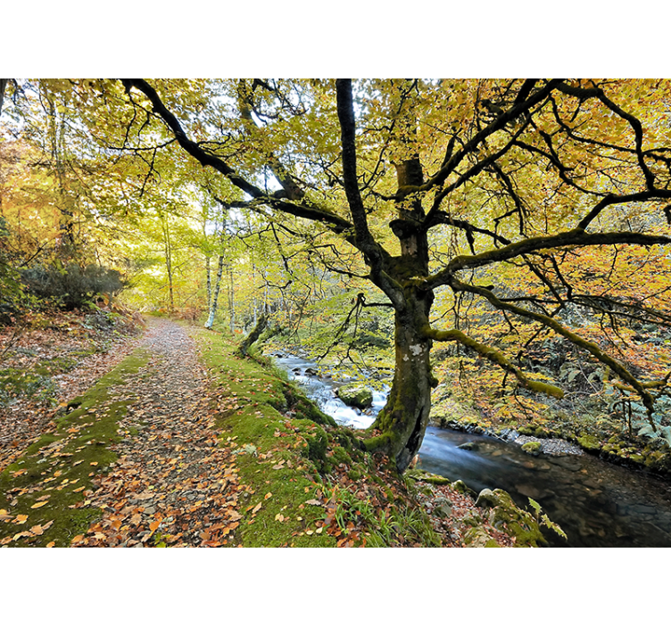 Mural de pared salón bosque de Muniellos y río - TenVinilo
