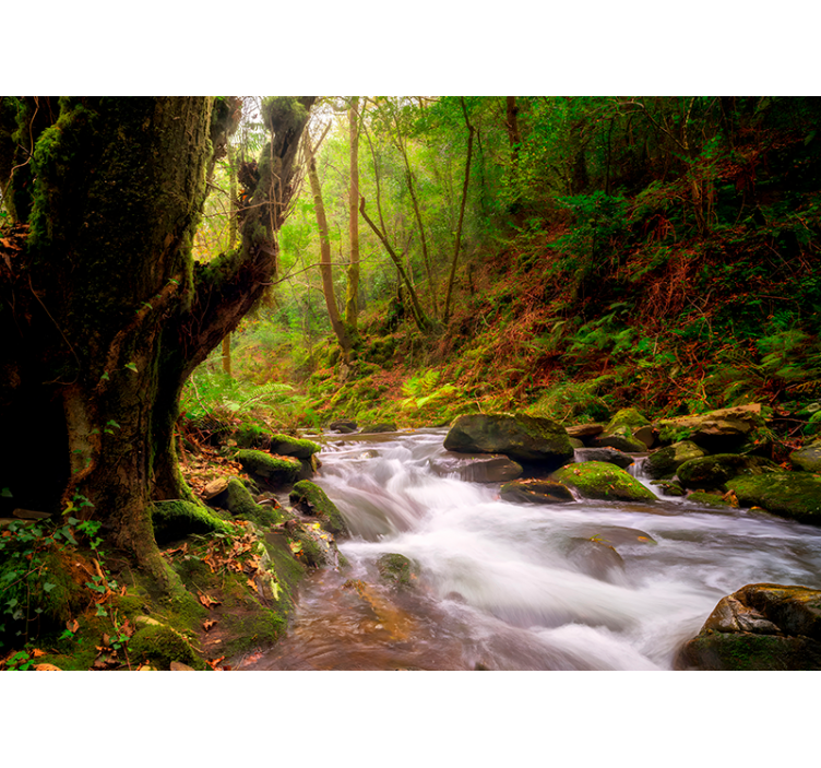 Papel pintado paisaje Fragas do Eume - TenVinilo