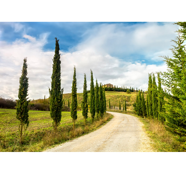 Fotomural naturaleza vista de la campiña toscana - TenVinilo