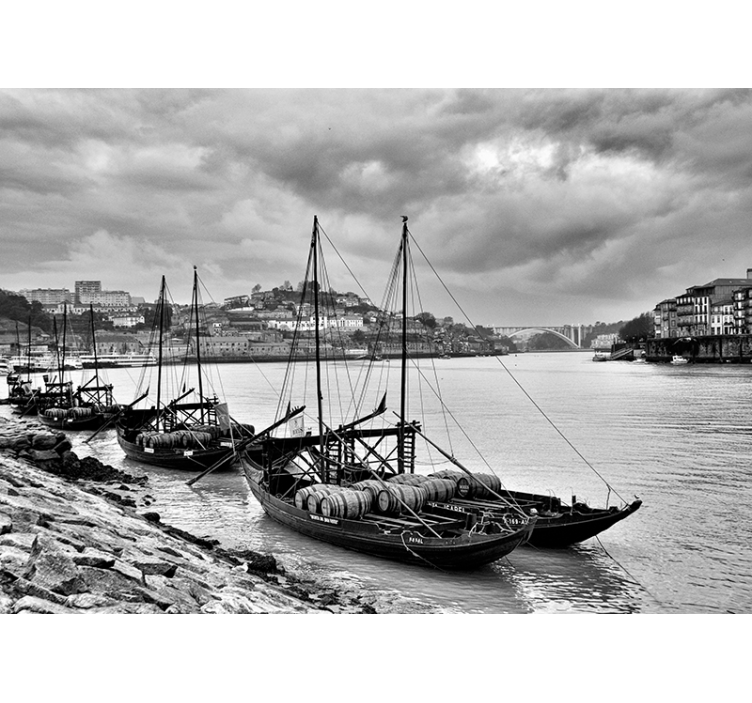Fotomural ciudad escalas de grises de oporto - TenVinilo