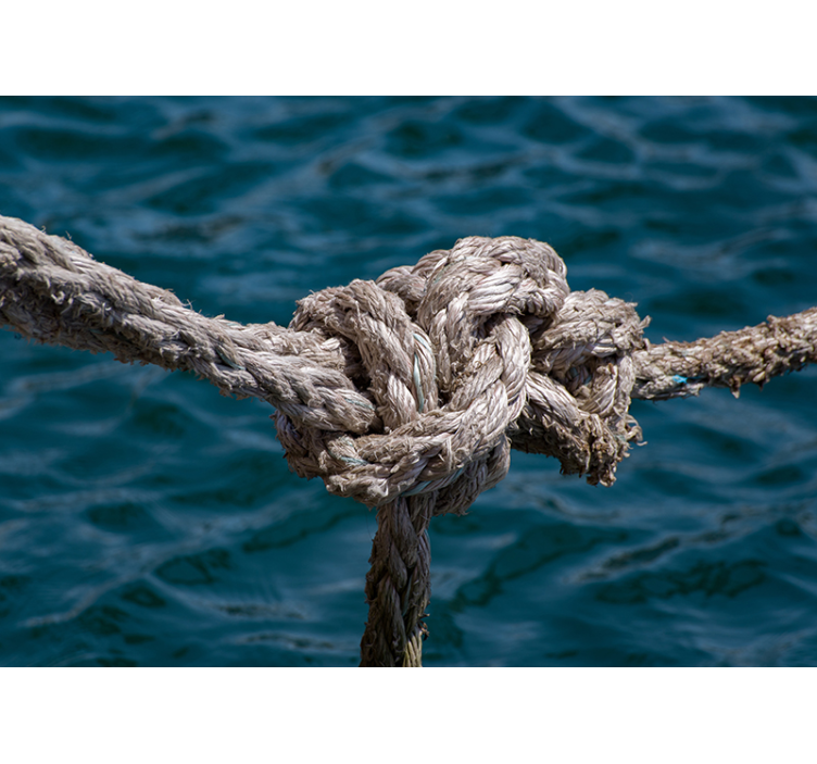 Fotomural mar fuerza del nudo náutico - TenVinilo