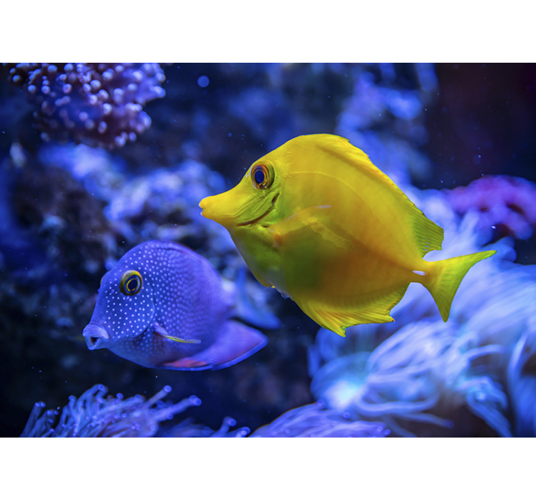 Fotomural animales escena de vida acuática - TenVinilo