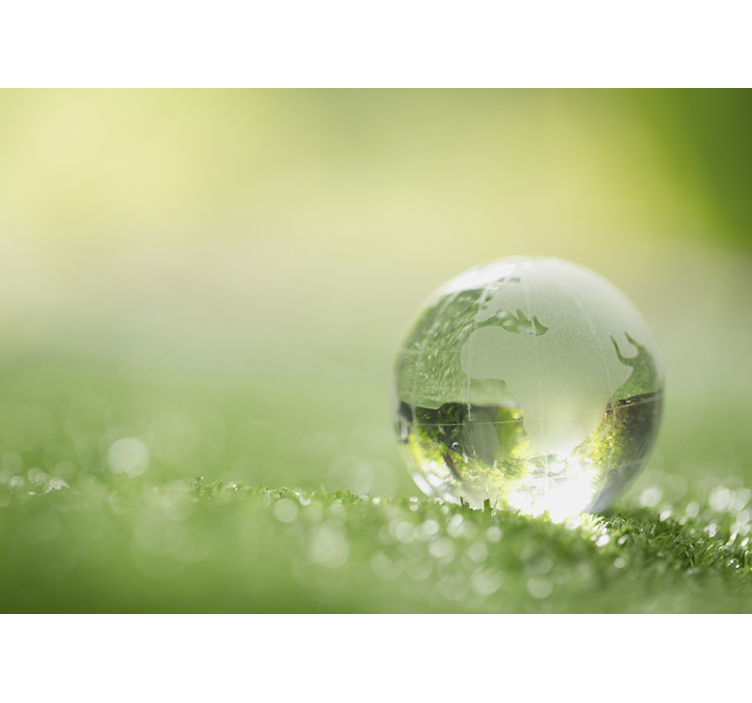 Fotomural naturaleza globo sobre hierba - TenVinilo