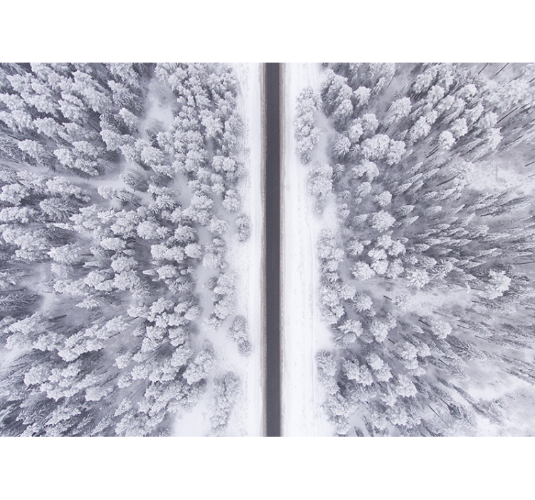 Papel pintado paisaje sendero del bosque invernal - TenVinilo