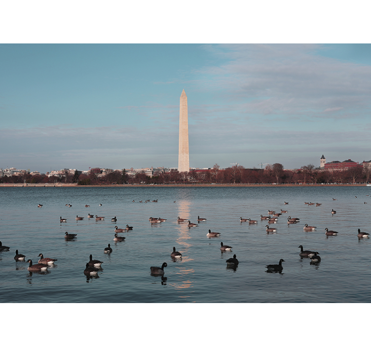 Fotomural ciudad reflejo del monumento a washington - TenVinilo