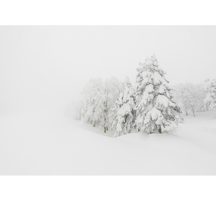 Papel pintado dormitorio bosque tormenta invierno - TenVinilo