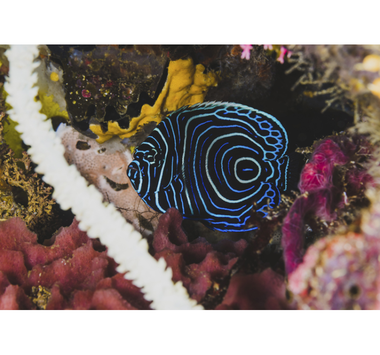 Fotomural animales patrones de peces azules - TenVinilo