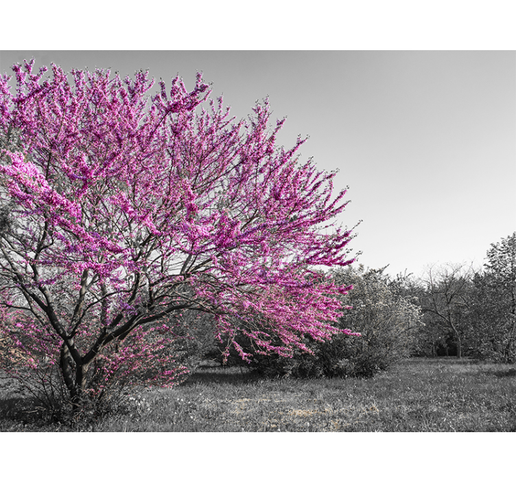 Mural de pared flores árbol de flor de cerezo - TenVinilo