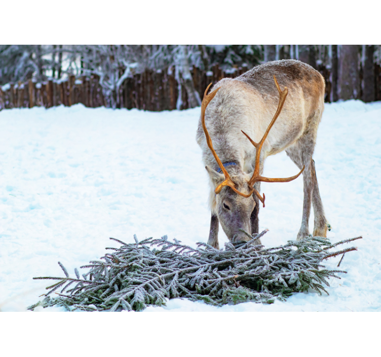 Fotomural animales renos en la nieve - TenVinilo