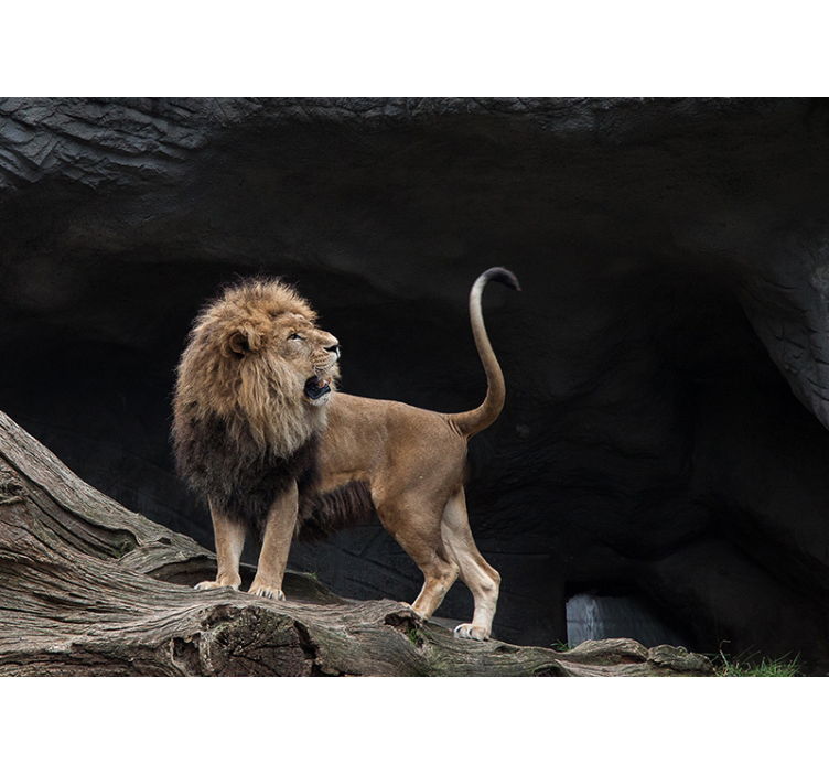 Fotomural león retrato de león majestuoso - TenVinilo