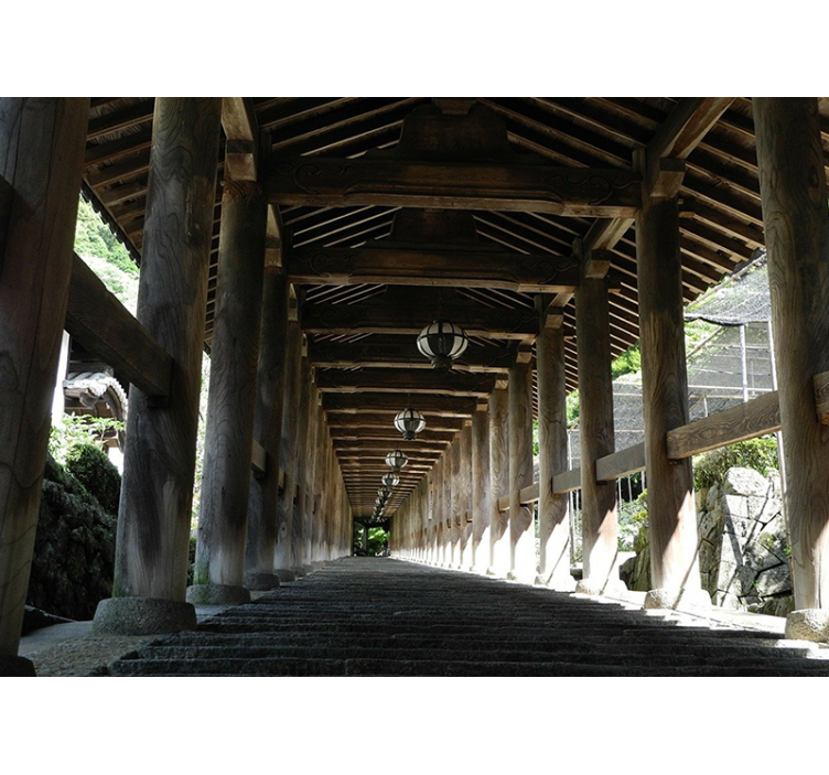 Fotomural bosque vista del sendero de madera - TenVinilo