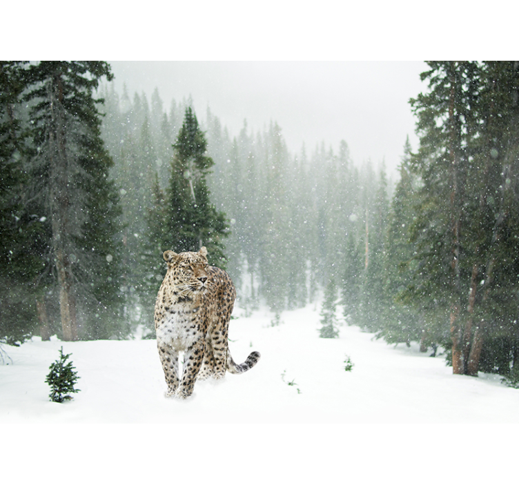 Fotomural animales paseo del leopardo nevado - TenVinilo