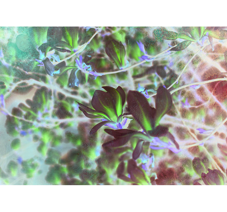 Fotomural de orquídeas explosión de flores de magnolia - TenVinilo