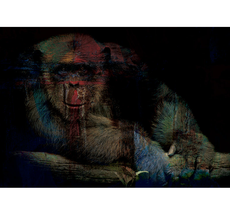Fotomural animales rostro misterioso de primate - TenVinilo